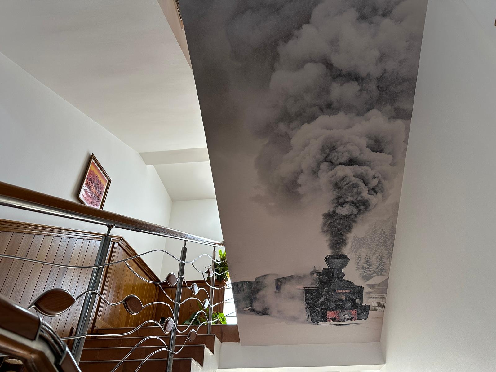 Galerie foto 19